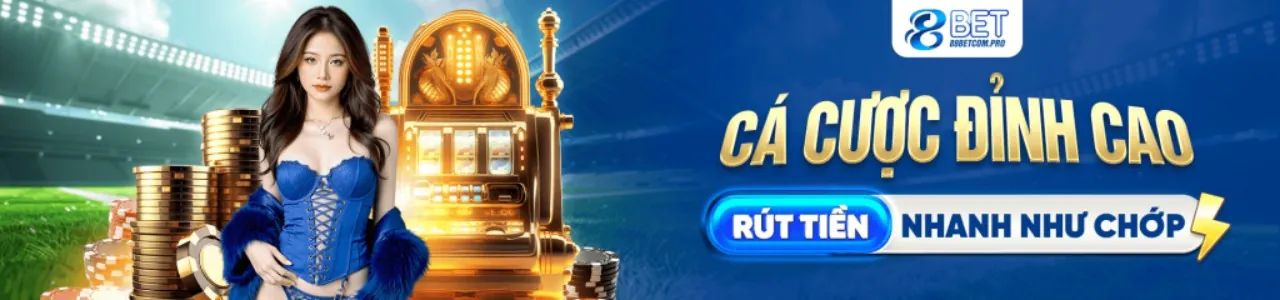 Hình ảnh biểu tượng cho chính sách cookie và quyền riêng tư của 6623nen